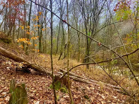 11 Dummy Line Rd, Brookhaven, MS 39601 photo 7