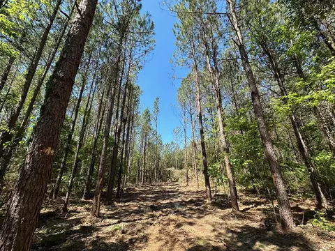 1 Henry Rd, MS