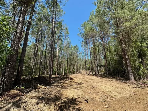2 Henry Rd, MS