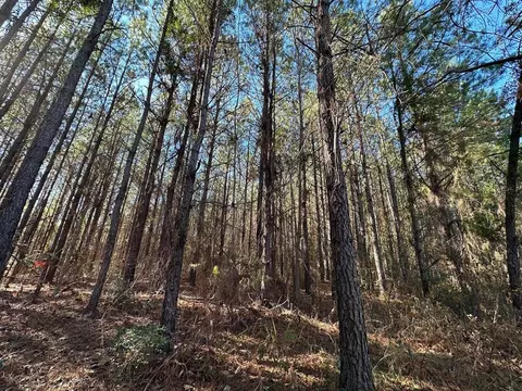 5 Henry Rd, MS