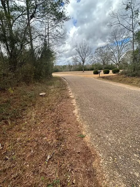 0 Conerly Dr, Mccomb, MS 39648 photo 3