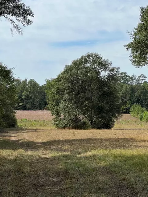 1070 S First St, Brookhaven, MS 39601 photo 3