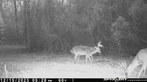 00 Windy Hl, Roxie, MS 39661 photo 58