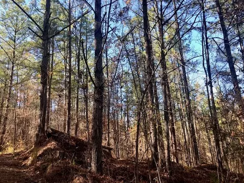 00 Windy Hl, Roxie, MS 39661 photo 16