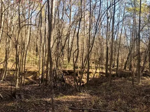 00 Windy Hl, Roxie, MS 39661 photo 2
