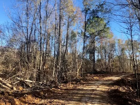 00 Windy Hl, Roxie, MS 39661 photo 53