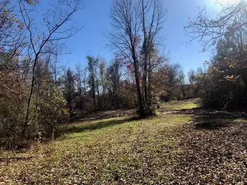 00 Windy Hl, Roxie, MS 39661 photo 61