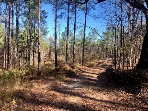 00 Windy Hl, Roxie, MS 39661 photo 17