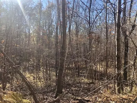 00 Windy Hl, Roxie, MS 39661 photo 20