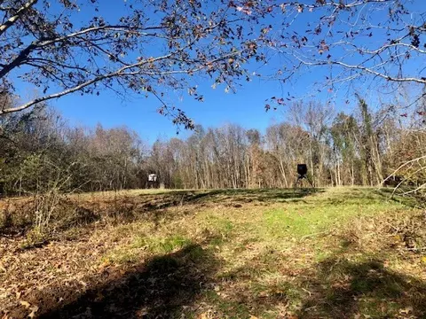 00 Windy Hl, Roxie, MS 39661 photo 37