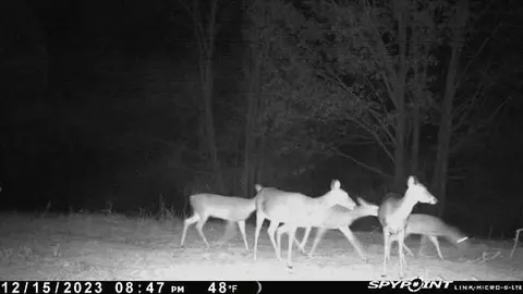 00 Windy Hl, Roxie, MS 39661 photo 45