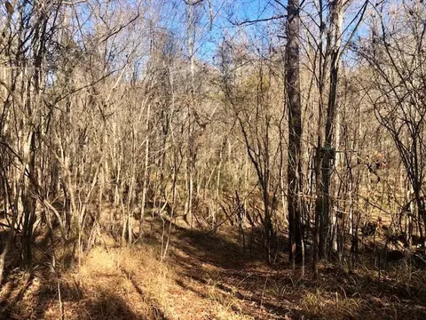 00 Windy Hl, Roxie, MS 39661 photo 5
