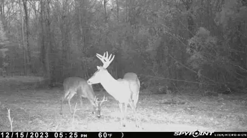 00 Windy Hl, Roxie, MS 39661 photo 12