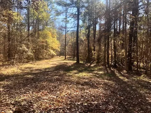 00 Windy Hl, Roxie, MS 39661 photo 7