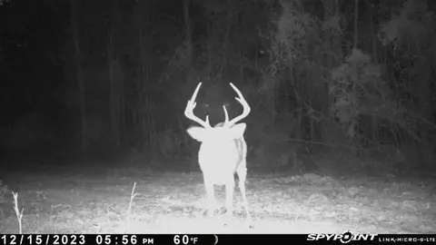 00 Windy Hl, Roxie, MS 39661 photo 13