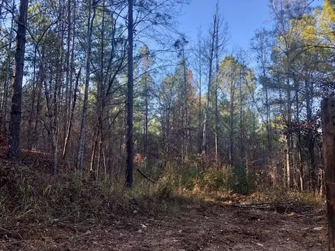 00 Windy Hl, Roxie, MS 39661 photo 48