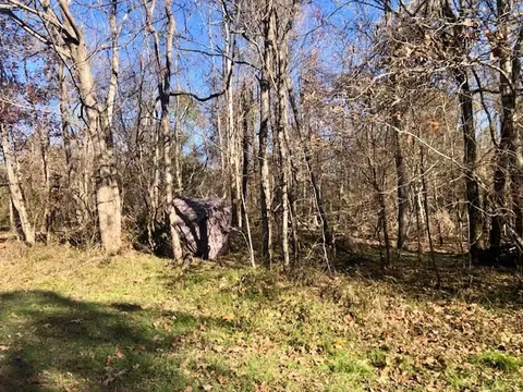 00 Windy Hl, Roxie, MS 39661 photo 59
