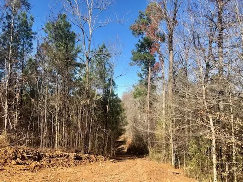 00 Windy Hl, Roxie, MS 39661 photo 39