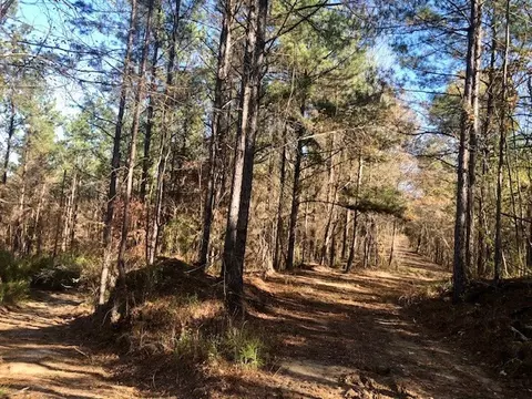 00 Windy Hl, Roxie, MS 39661 photo 23