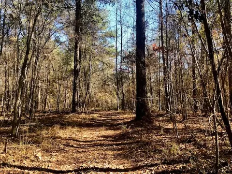 00 Windy Hl, Roxie, MS 39661 photo 15