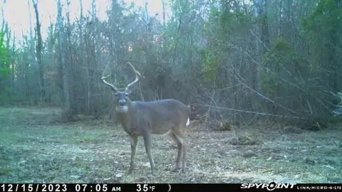 00 Windy Hl, Roxie, MS 39661 photo 11