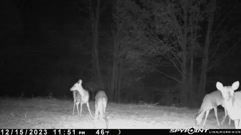 00 Windy Hl, Roxie, MS 39661 photo 64