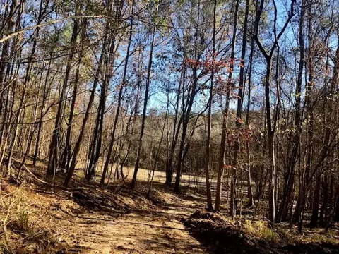 00 Windy Hl, Roxie, MS 39661 photo 35