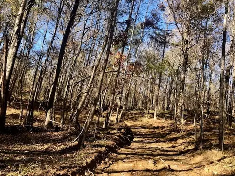 00 Windy Hl, Roxie, MS 39661 photo 29