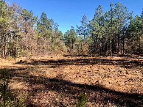 00 Windy Hl, Roxie, MS 39661 photo 24
