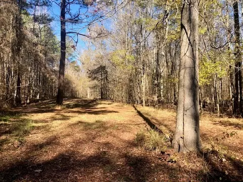 00 Windy Hl, Roxie, MS 39661 photo 8