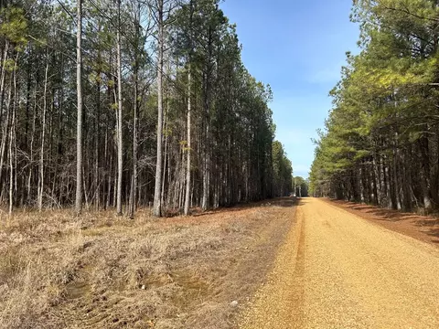000 Watt Hill Rd, Starkville, MS 39759