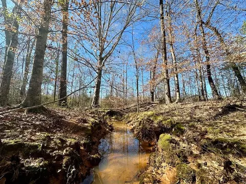 2310 Traci Loop, Bogue Chitto, MS 39629