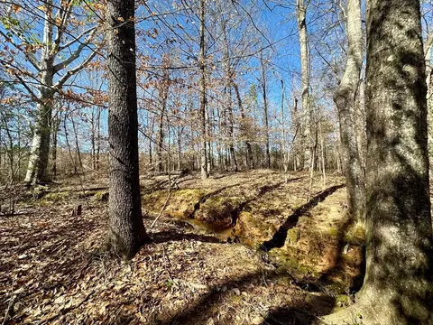 2310 Traci Loop, Bogue Chitto, MS 39629 photo 8