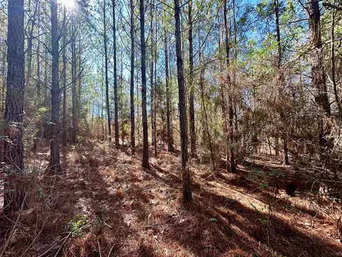 2310 Traci Loop, Bogue Chitto, MS 39629 photo 6