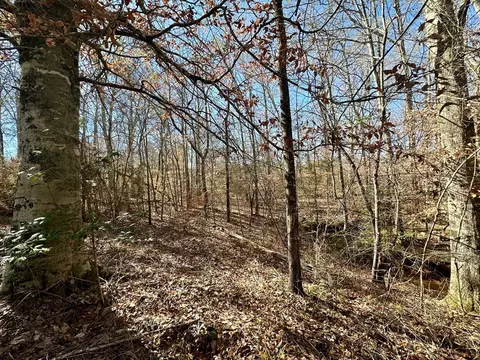 2310 Traci Loop, Bogue Chitto, MS 39629 photo 5
