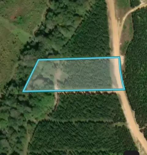 2310 Traci Loop, Bogue Chitto, MS 39629 photo 12