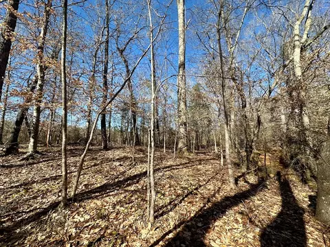 2310 Traci Loop, Bogue Chitto, MS 39629 photo 9