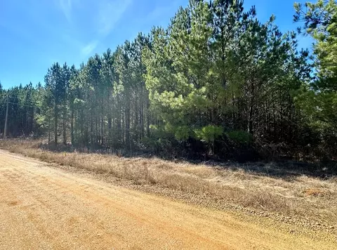 2310 Traci Loop, Bogue Chitto, MS 39629 photo 7