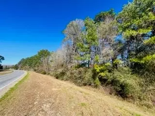 tbd Fordsville Rd, Tylertown, MS 39667