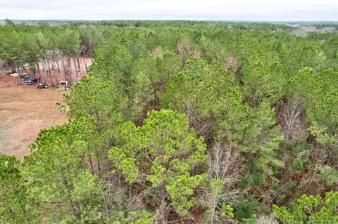 tbd Headstart Ln, Liberty, MS 39645 photo 5