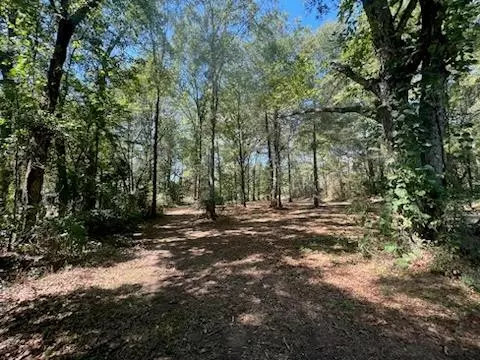 Na Oak Avenue, Fernwood, MS 39635