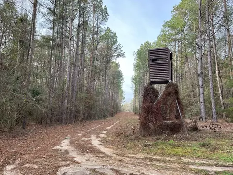 Nnnn Carpenter Lane, Summit, MS 39666 photo 16