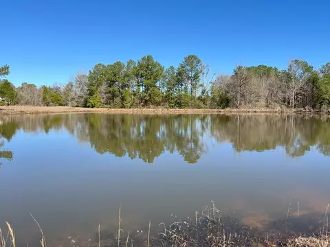 Nnnn Carpenter Lane, Summit, MS 39666 photo 9