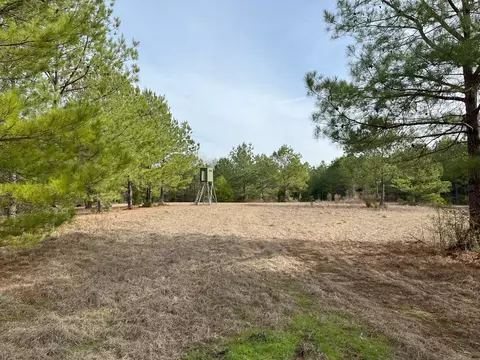 Nnnn Carpenter Lane, Summit, MS 39666 photo 11