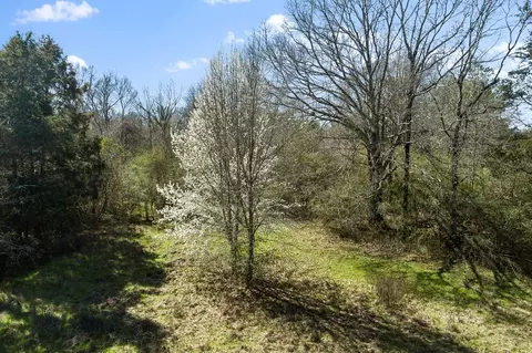 Nnnn Carpenter Lane, Summit, MS 39666 photo 33