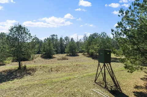 Nnnn Carpenter Lane, Summit, MS 39666 photo 32
