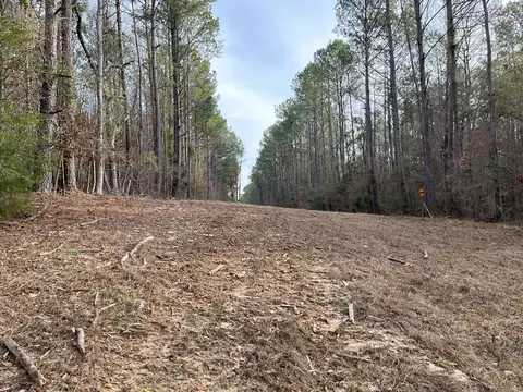 Nnnn Carpenter Lane, Summit, MS 39666 photo 14