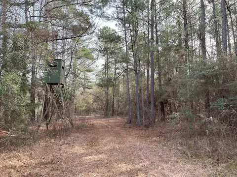 Nnnn Carpenter Lane, Summit, MS 39666 photo 12