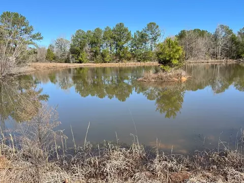 Nnnn Carpenter Lane, Summit, MS 39666 photo 10
