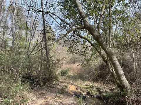 Nnnn Carpenter Lane, Summit, MS 39666 photo 13